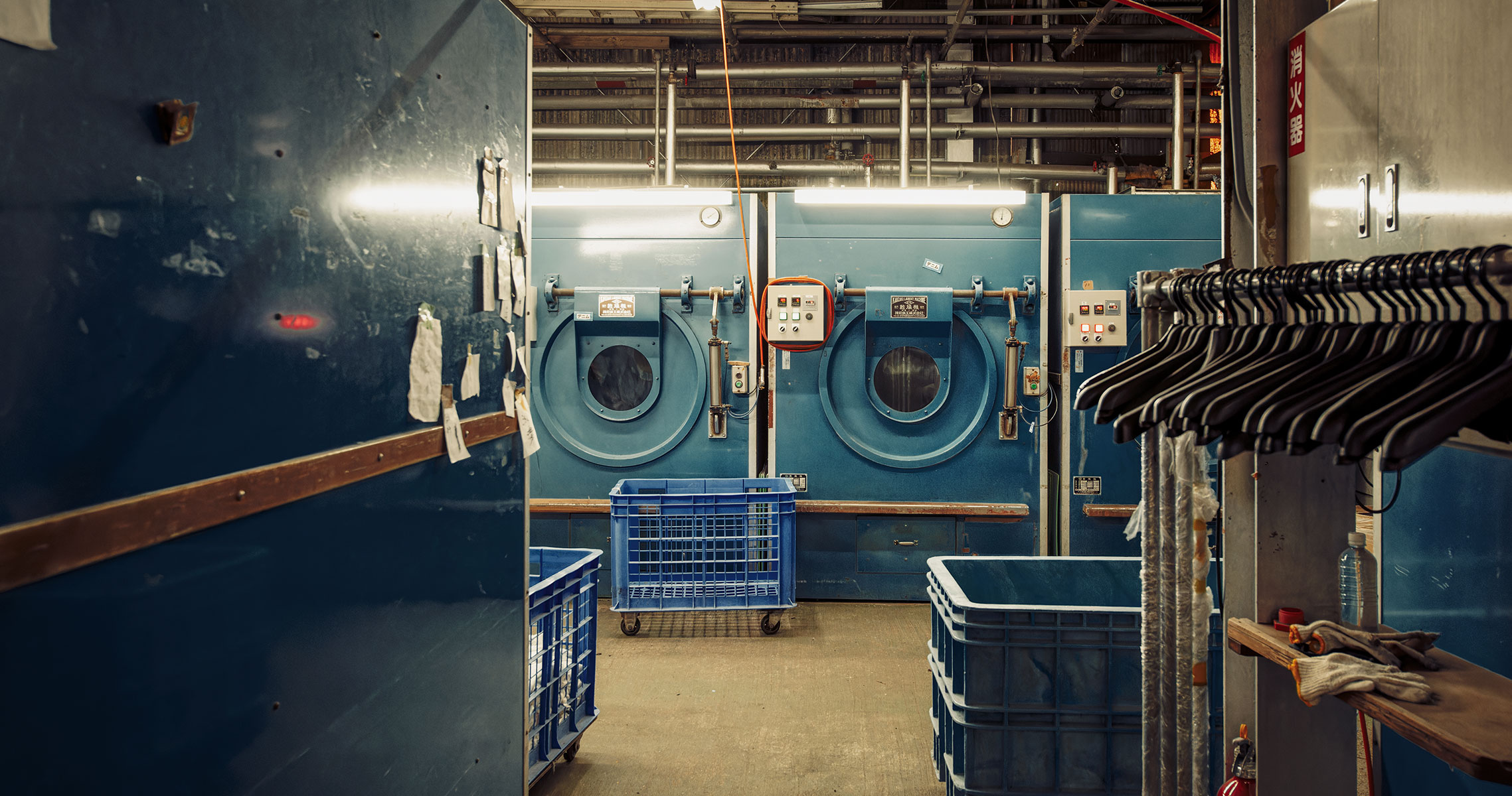 洗う、染める、手を加える